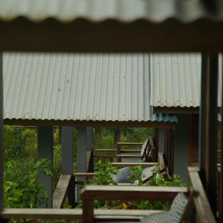 The Geckos Homestay Келімуту Номер фото